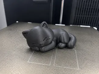 Sleepy cute cat