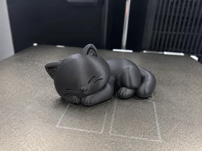 Sleepy cute cat