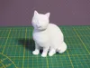 0.16mm layer, 2 walls, 15% infill