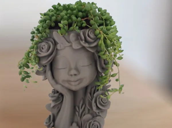 https://makerworld.bblmw.com/makerworld/model/US797cd9fcafbbcb/design/2025-06-08_a9c361c5e9466.jpg