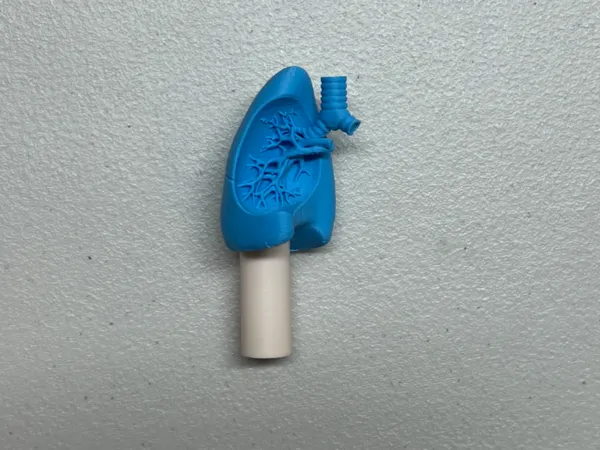 https://makerworld.bblmw.com/makerworld/model/US797e57452da267/design/2025-03-16_a5ae39e43af97.jpg