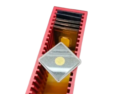 gold box