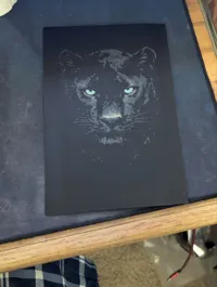 Full Size Picture Only