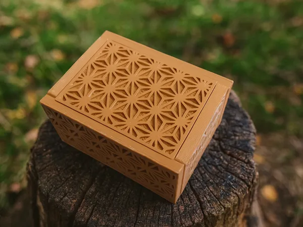 https://makerworld.bblmw.com/makerworld/model/US7988077a6f495e/design/2026-01-19_4ff962bc460358.png