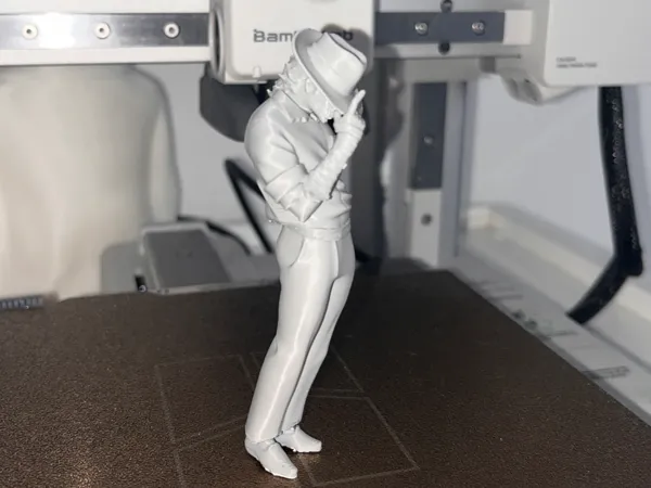 https://makerworld.bblmw.com/makerworld/model/US7988081d1a669/design/2938fa8b6f7c01ba.jpg