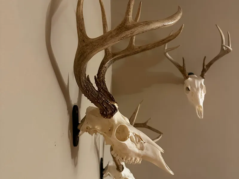 Skull Wall Hook