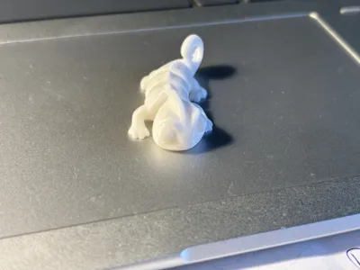 https://makerworld.bblmw.com/makerworld/model/US799133aaa57e71/416559016/ratings/39e6b11c6c2e0dece274d17734d1908b.JPG