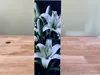 AMS 0.08mm layer, 1 walls, 100% infill