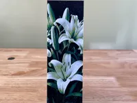 AMS 0.08mm layer, 1 walls, 100% infill