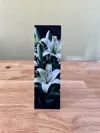 No AMS 0.08mm layer, 1 walls, 100% infill