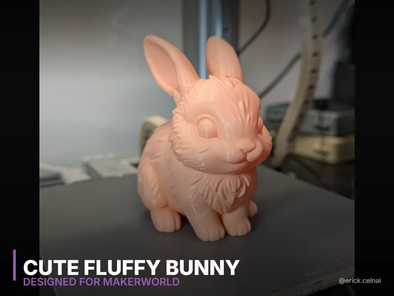 Cute Fluffy Bunny