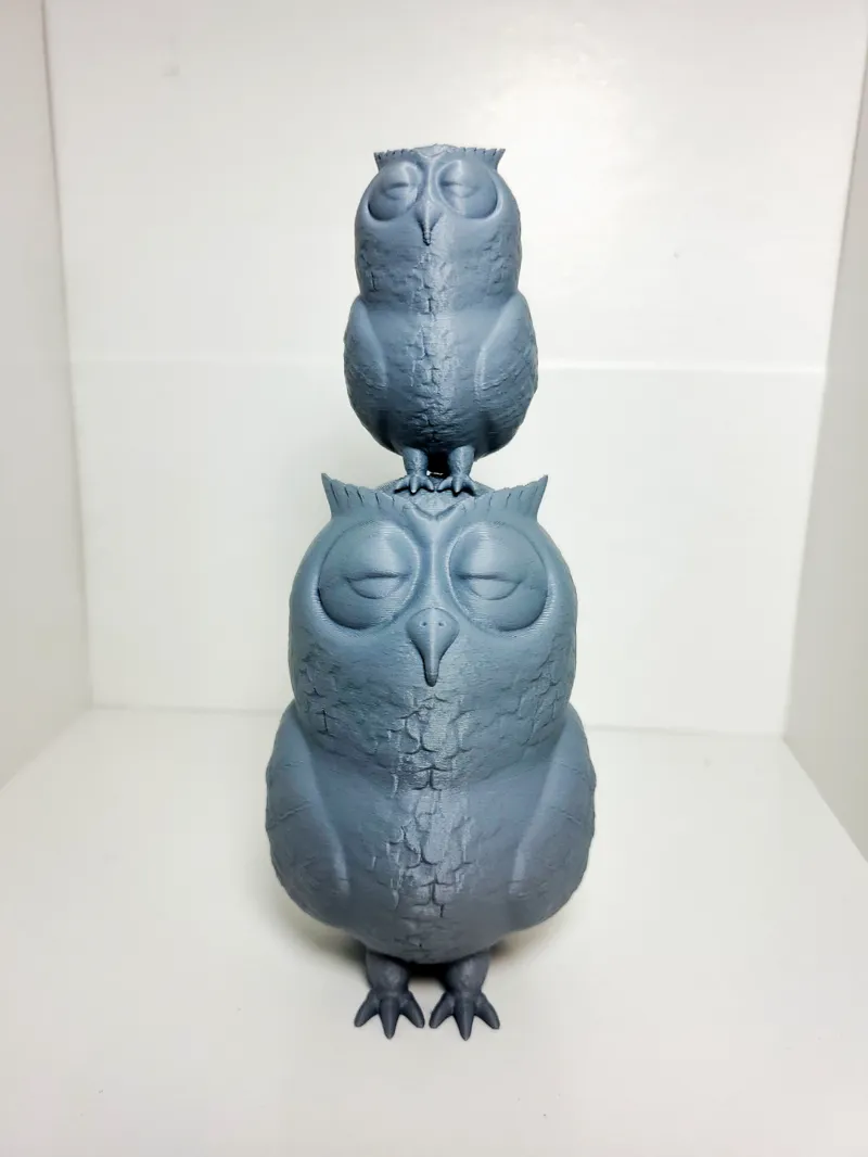 Sleepy Owl
