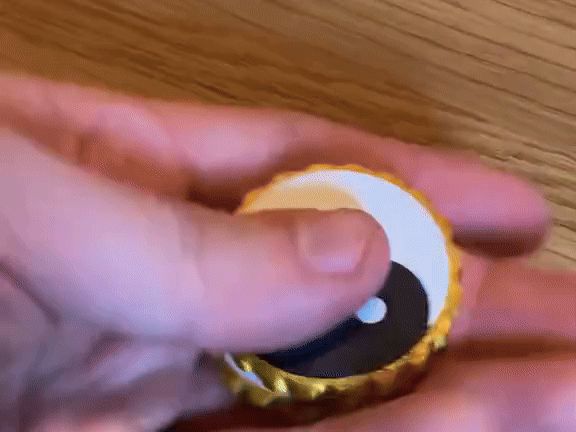 YIN-YANG Flipper