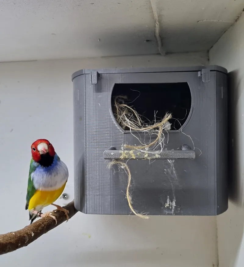 Nest box for small birds
