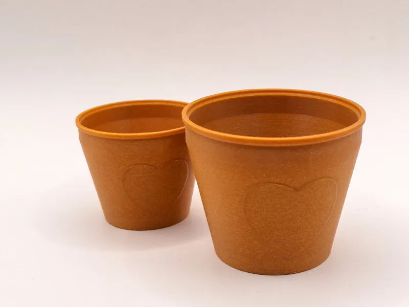 Succulent pots with heart