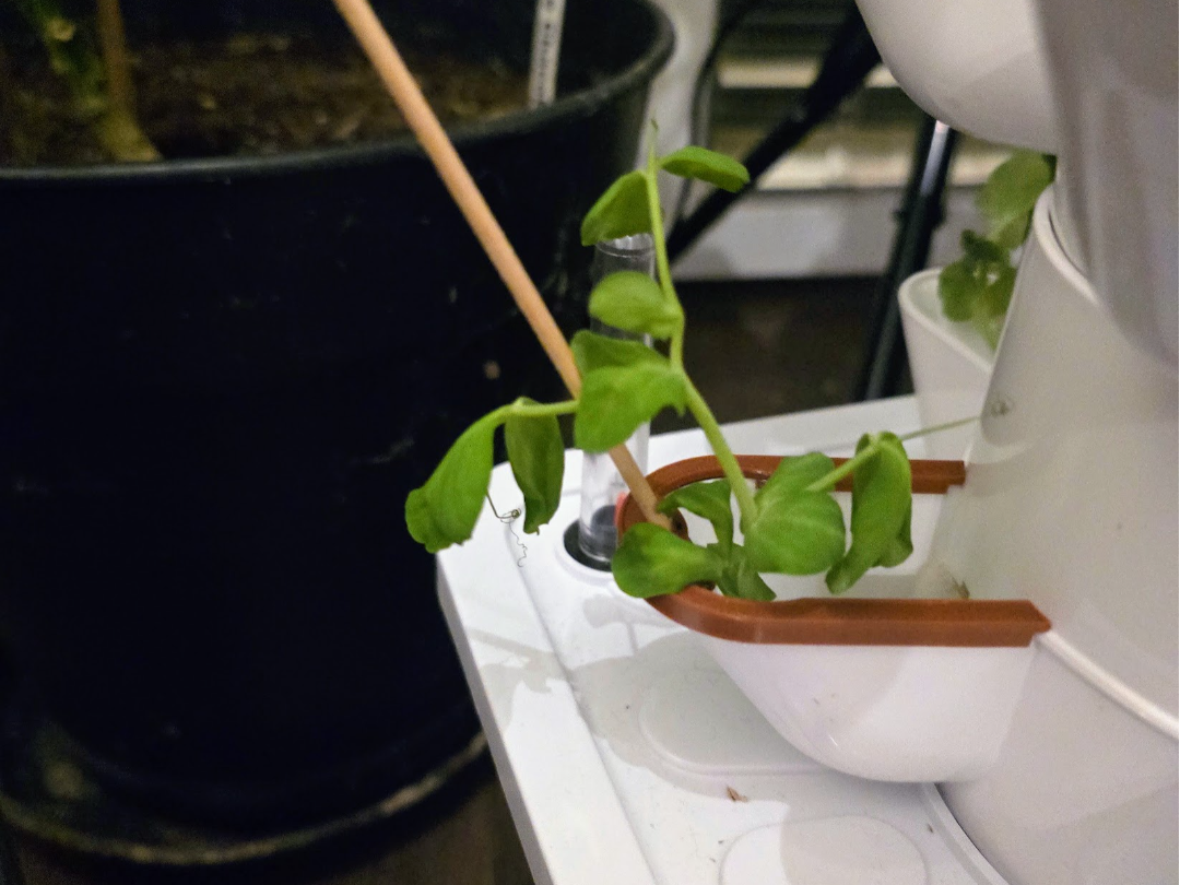 Hydroponic Tower Plant Support / Skewer Clip