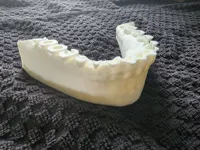 0.08mm layer, 2 walls, 15% infill