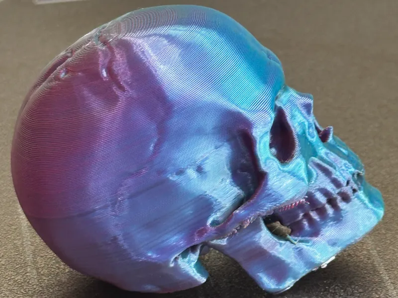 Human Skull Desk Decor