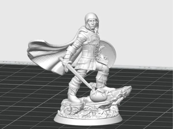 https://makerworld.bblmw.com/makerworld/model/US79b3afb73856f1/design/2025-01-05_7467e899cdc2f.png