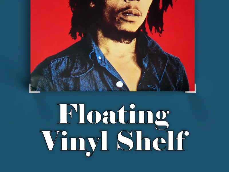 Floating Vinyl Shelf