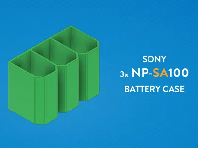 Sony 3x NP-SA100 Battery Case