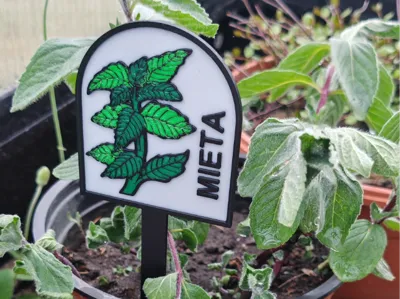 Plant label - MIĘTA (PL) [MINT]