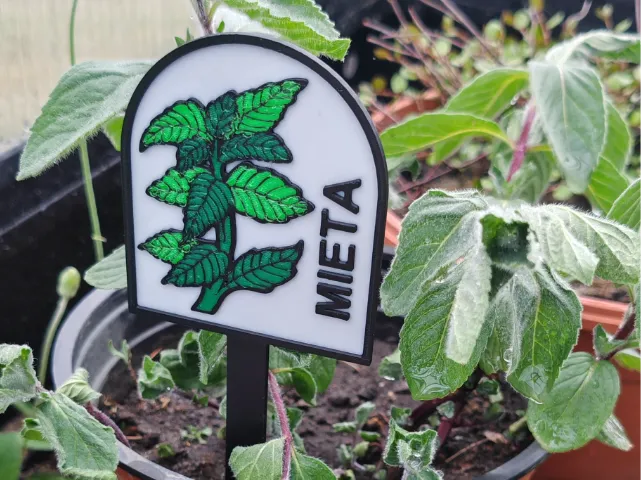 Plants label - MIĘTA (PL) [MINT]