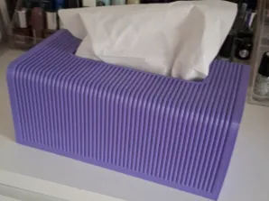Taschentuchbox 