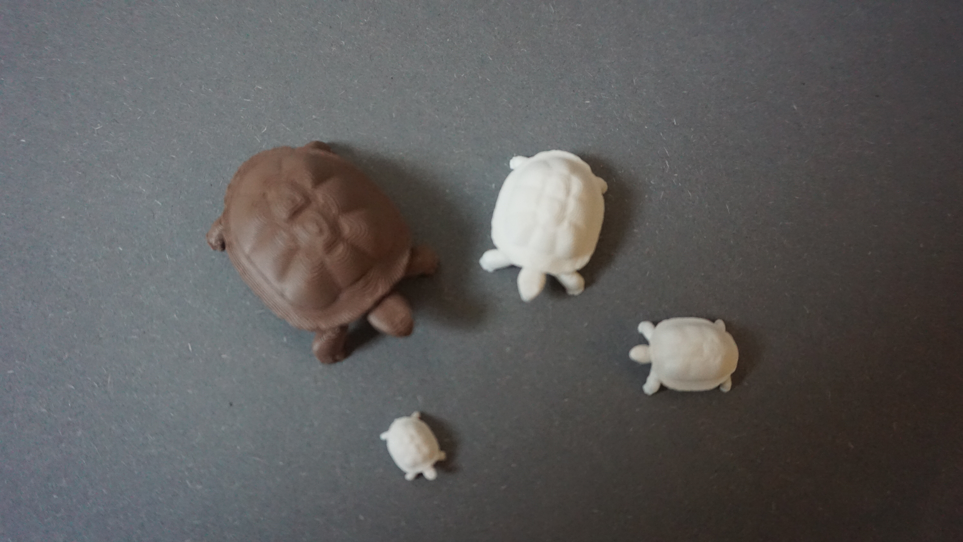 Miniatura 2 do modelo 3D Cute turtle (different sizes)