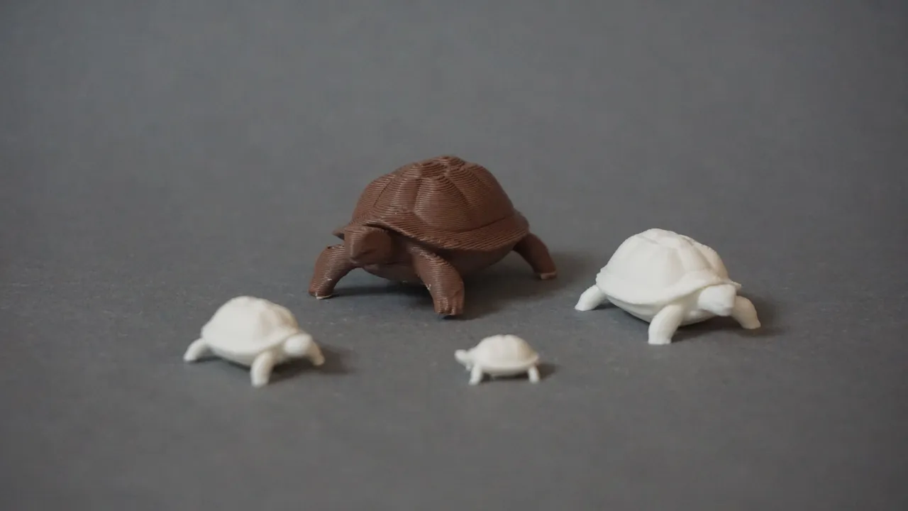 Cute turtle (different sizes) view 2