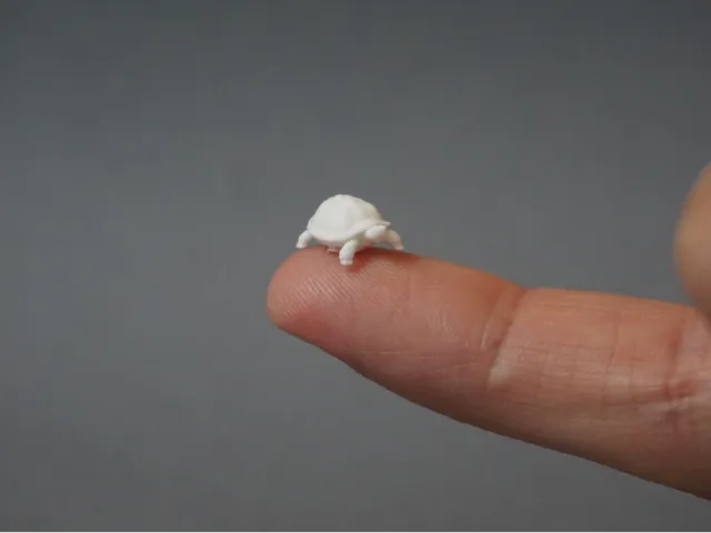 Cute turtle (different sizes)