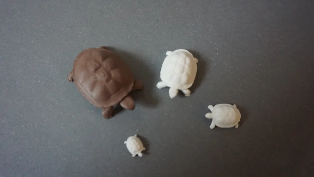 Cute turtle (different sizes) view 4