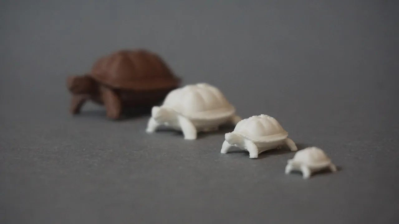 Cute turtle (different sizes) view 3