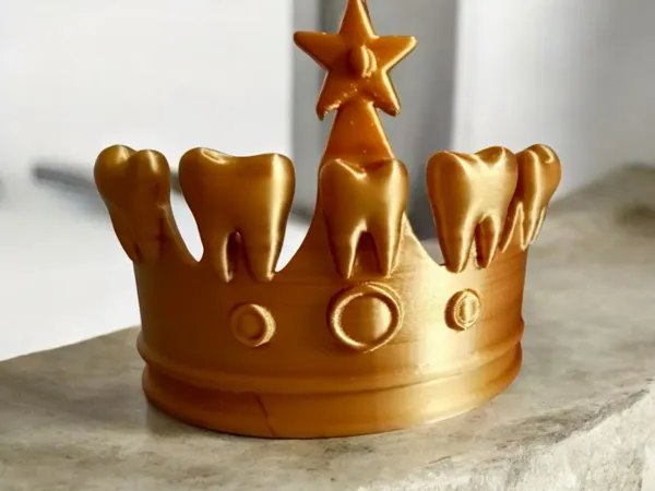 https://makerworld.bblmw.com/makerworld/model/US79bf0588e11ebd/design/2025-05-17_21e3550d82e638.png