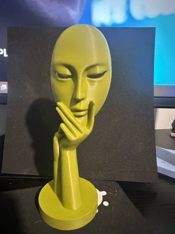 https://makerworld.bblmw.com/makerworld/model/US79c20105ab9003/design/2023-11-16_dcf22830bf8f8.jpeg