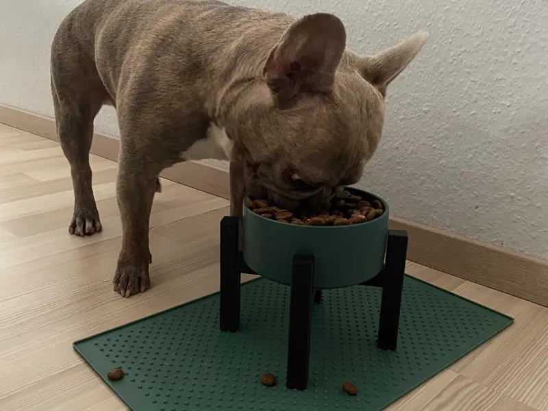 Fressnapferhöhung Dog Bowl Riser Bulldog