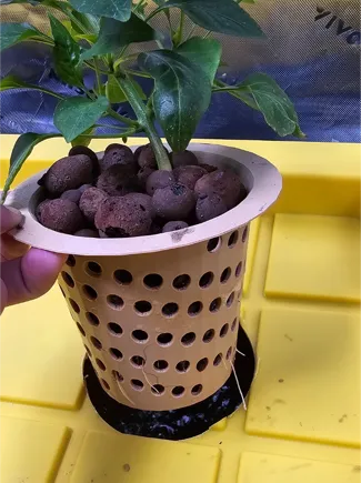 Hydroponics Mesh Net Cup