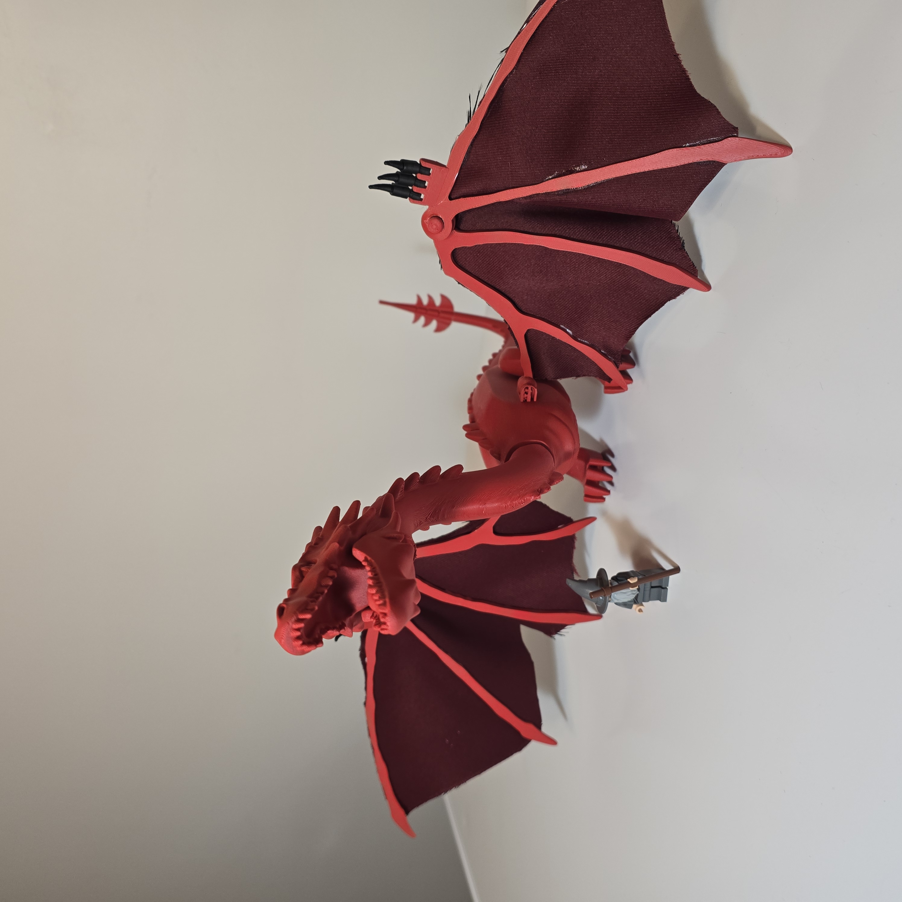 Foto 7