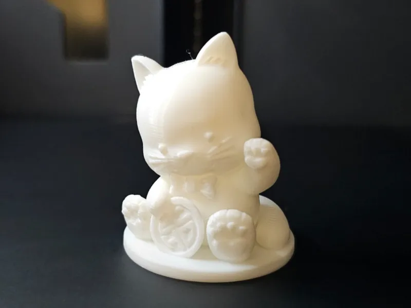 Echo the Lucky Cat