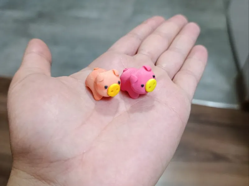 Pig micro