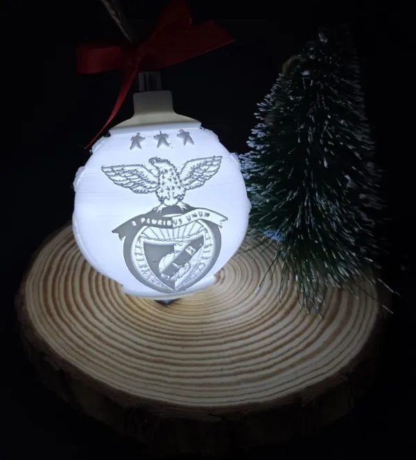 https://makerworld.bblmw.com/makerworld/model/US79ccd089f56c0f/design/2024-11-09_5f5167b10dfe.jpg