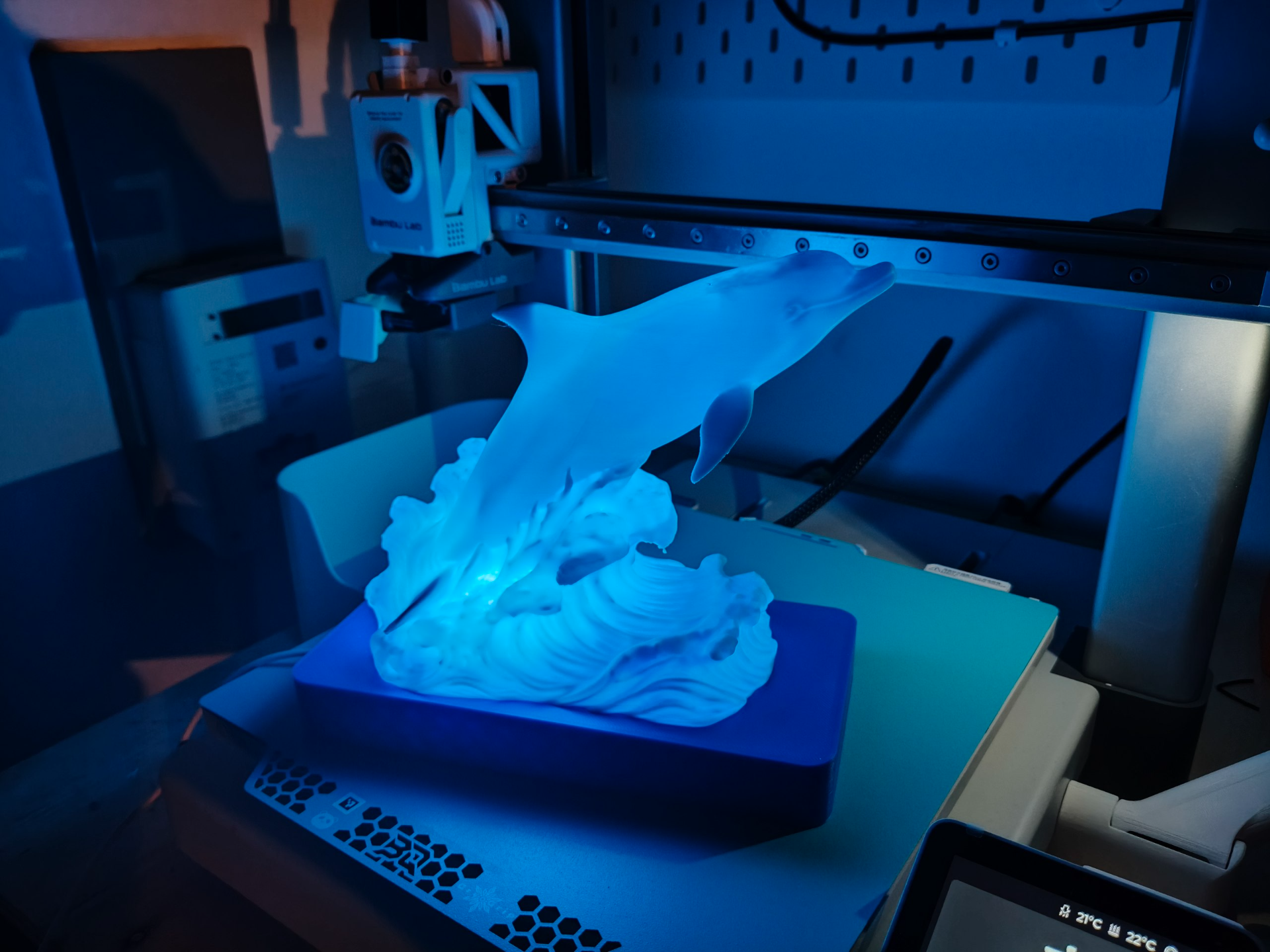 Dolphin Lamp