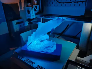 Dolphin Lamp