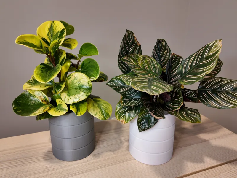 Duran - 4" Decorative Plant Pot