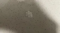 0.2mm 层高, 2 层墙, 15% 填充