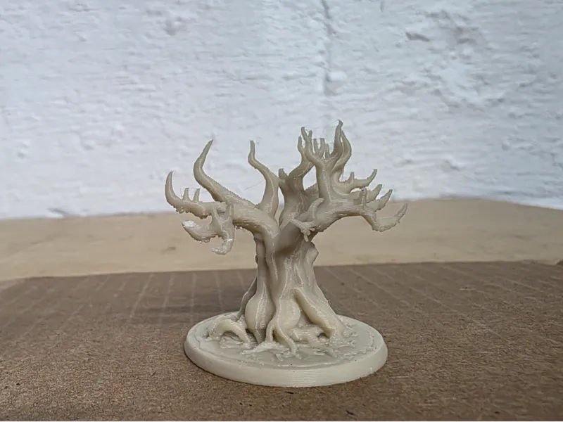 oak tree