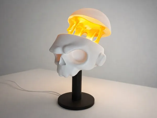 https://makerworld.bblmw.com/makerworld/model/US79de495ffba3dc/design/fbd9267a1d370b98.jpeg