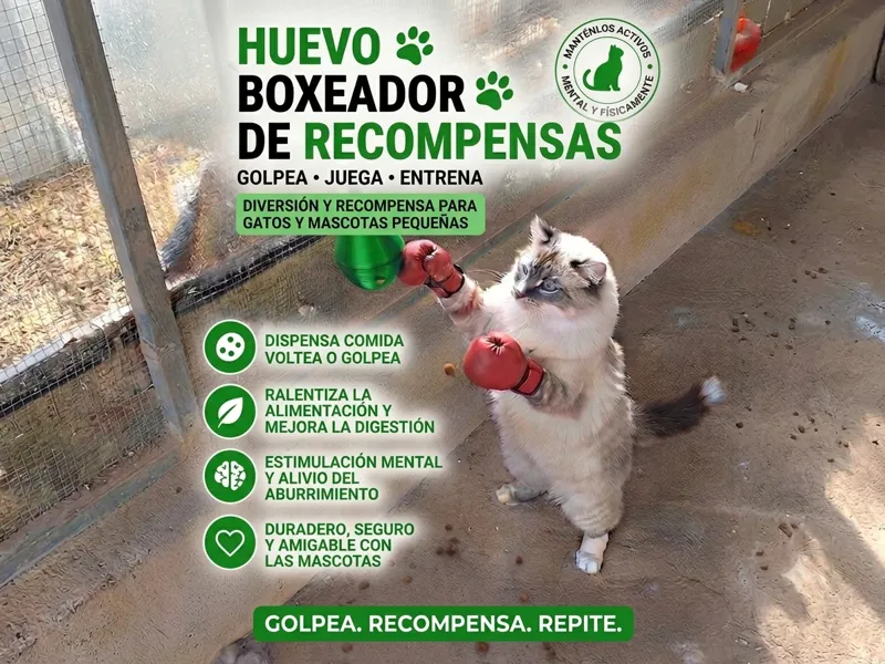 Perilla de boxeo - alimentador de gatitos