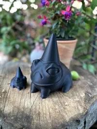 Grenouille sorcière — photo 3
