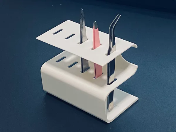 https://makerworld.bblmw.com/makerworld/model/US79e6c6f724846/design/2025-01-22_cf600d8749d45.jpg